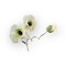 Artificial Cream Poppy Spray – 20" Faux Floral Stem for Crafts-FSP616-CR